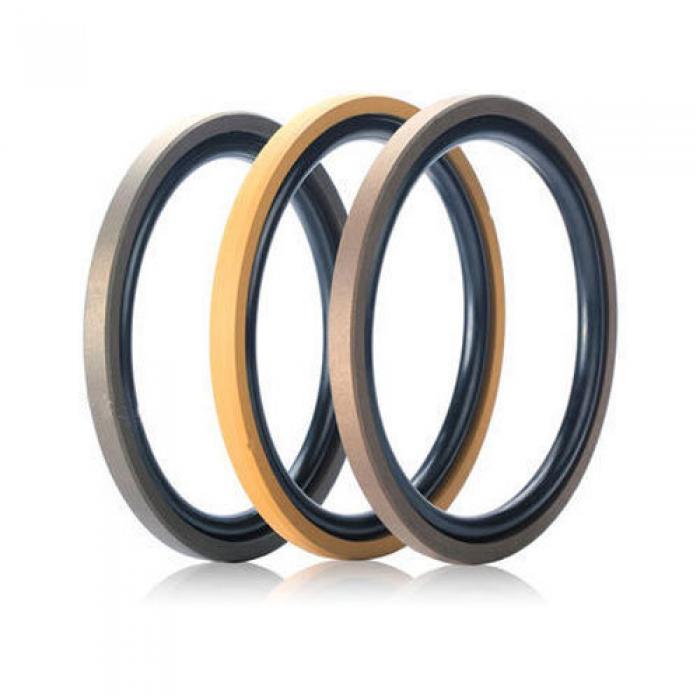 PTFE Piston Seals